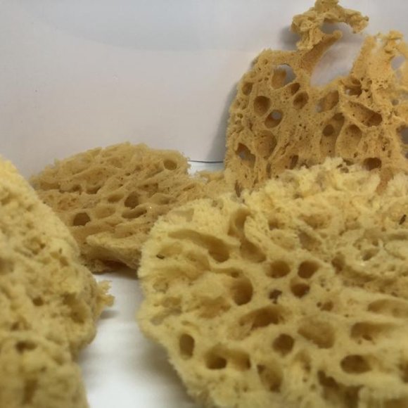 100% Natural Sea Sponge Slices - Picture 2 of 3